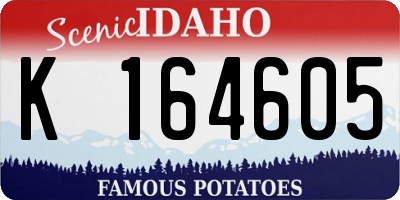 ID license plate K164605