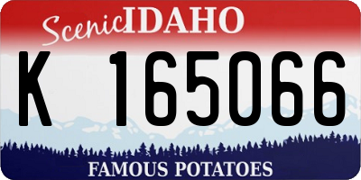 ID license plate K165066