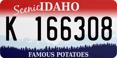 ID license plate K166308
