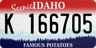ID license plate K166705
