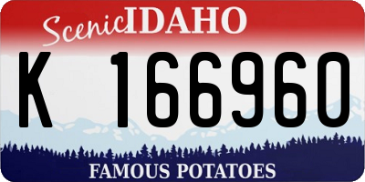 ID license plate K166960