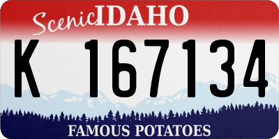 ID license plate K167134