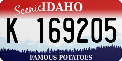 ID license plate K169205