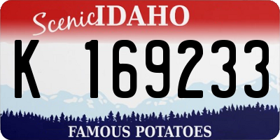 ID license plate K169233