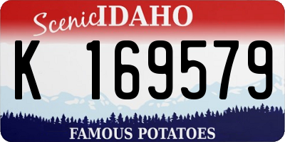 ID license plate K169579