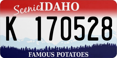 ID license plate K170528