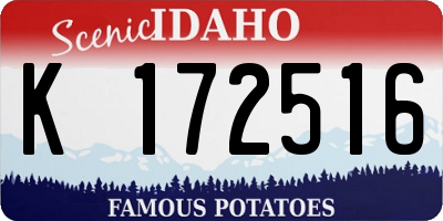 ID license plate K172516