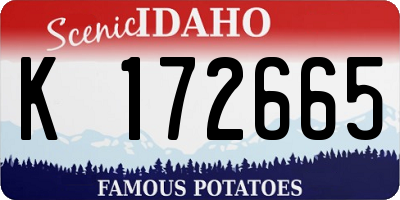 ID license plate K172665