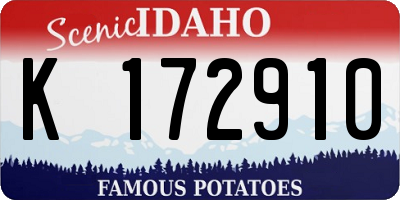 ID license plate K172910