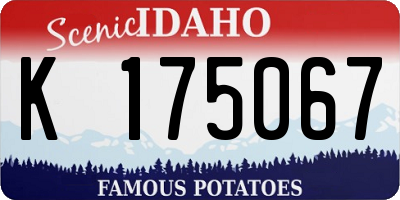 ID license plate K175067