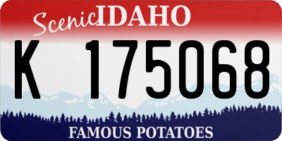 ID license plate K175068