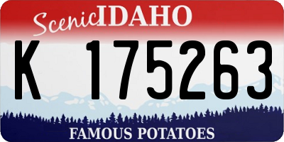 ID license plate K175263