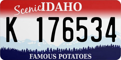 ID license plate K176534