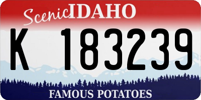 ID license plate K183239