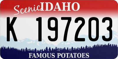 ID license plate K197203