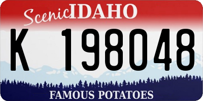ID license plate K198048
