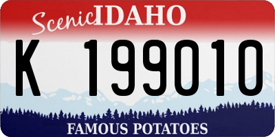 ID license plate K199010