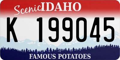ID license plate K199045