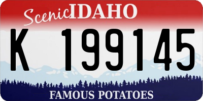 ID license plate K199145