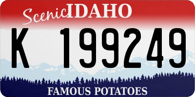 ID license plate K199249