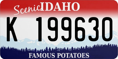 ID license plate K199630