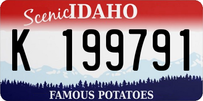 ID license plate K199791