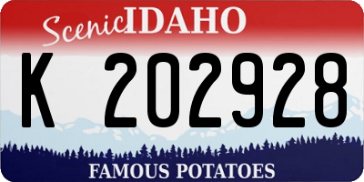 ID license plate K202928