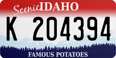 ID license plate K204394