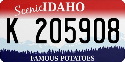 ID license plate K205908