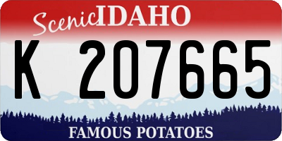 ID license plate K207665