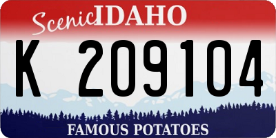 ID license plate K209104