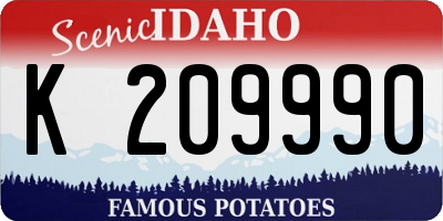 ID license plate K209990