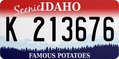 ID license plate K213676