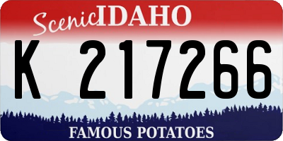 ID license plate K217266