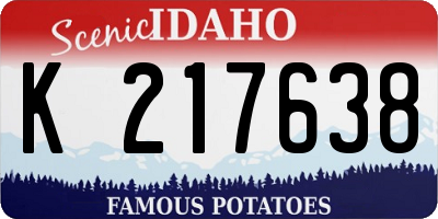 ID license plate K217638