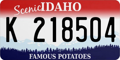 ID license plate K218504