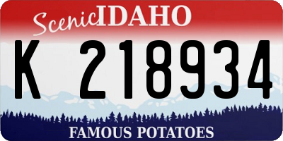 ID license plate K218934