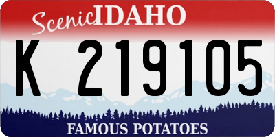 ID license plate K219105