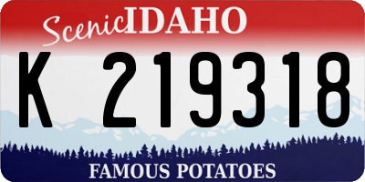 ID license plate K219318
