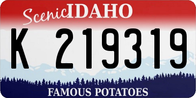 ID license plate K219319