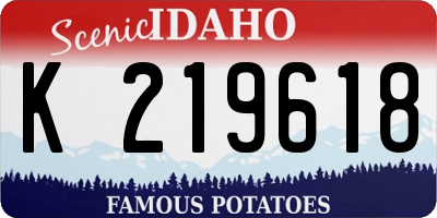 ID license plate K219618