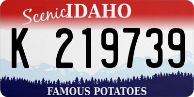 ID license plate K219739