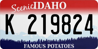 ID license plate K219824