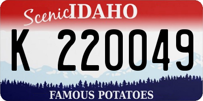 ID license plate K220049