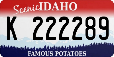 ID license plate K222289