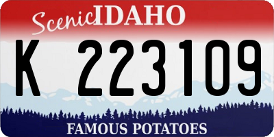 ID license plate K223109