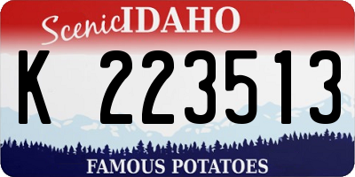 ID license plate K223513