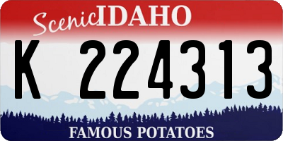 ID license plate K224313