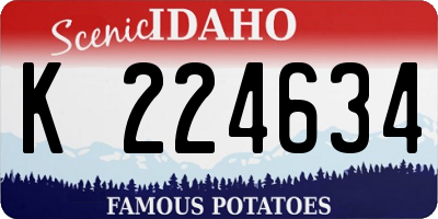 ID license plate K224634