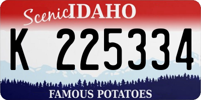 ID license plate K225334